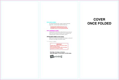 Brochure 12x18 Trifold Outside guideline preview