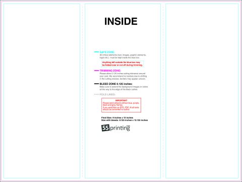 Brochure 9inx12in Trifold Inside guideline preview