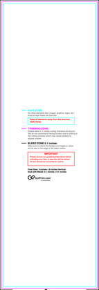 55printing Clubflyer 3inx9in V Download Template Guideline - Flyers