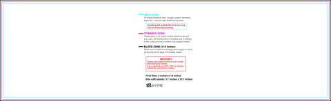 Clubflyer 3inx10in H Front guideline preview