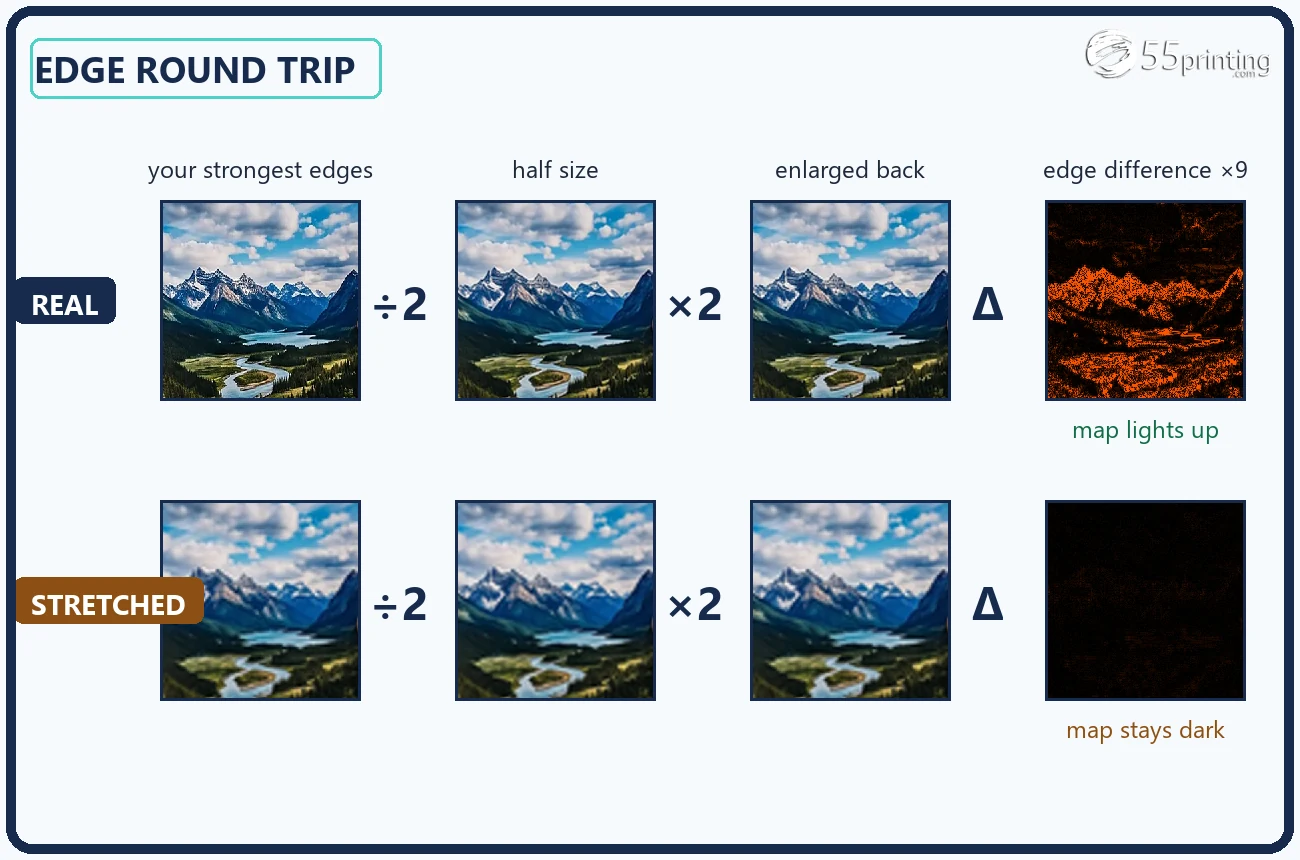 Diagram strip showing a detail-rich photo edge shrunken and enlarged back with visible loss, next to a stretched graphic that returns unchanged
