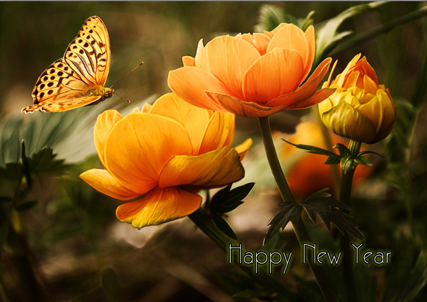 New Year Greeting Cards template preview 48