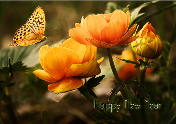 New Year Greeting Cards template preview 19