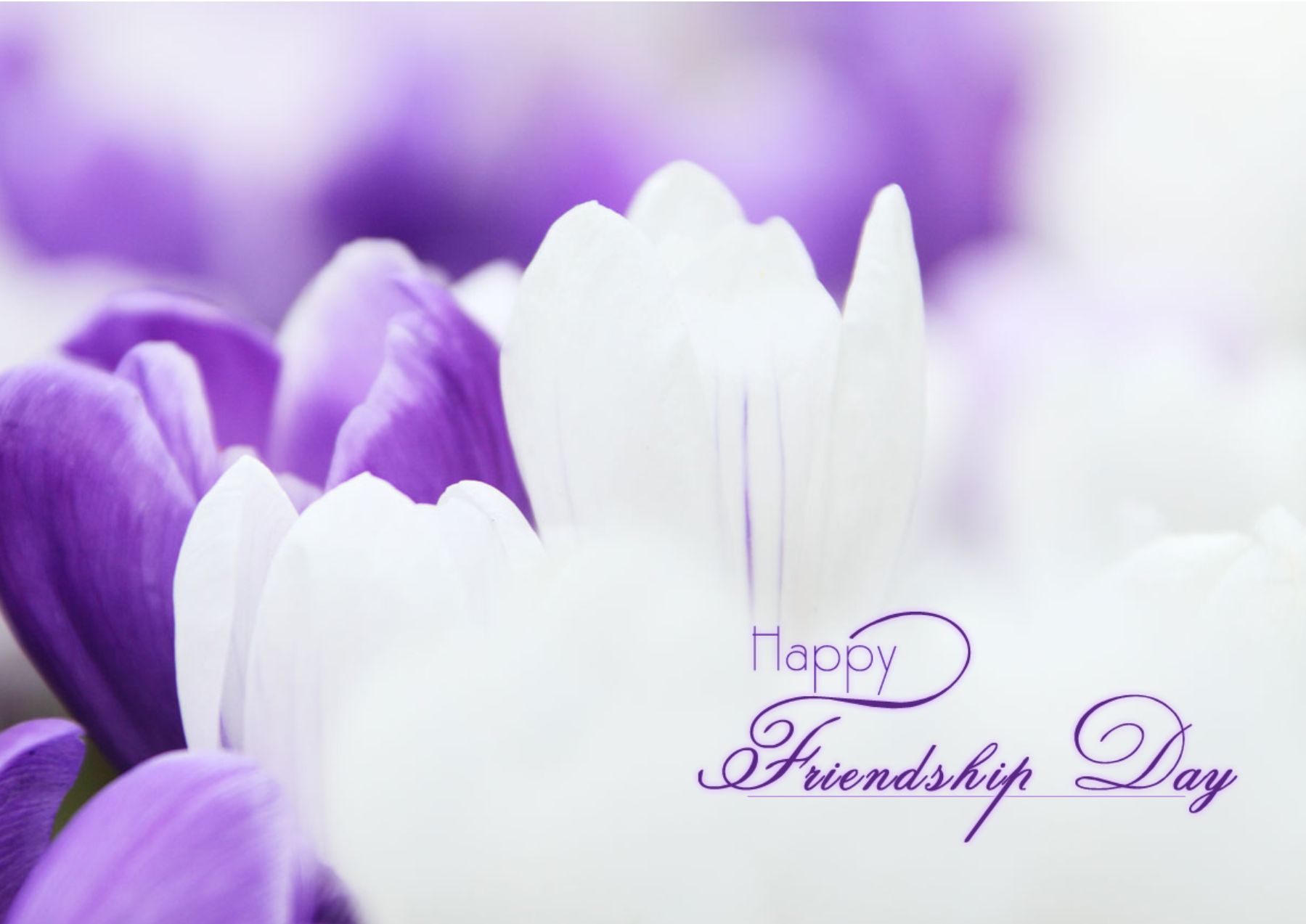 Friendship Greeting Cards template preview 20