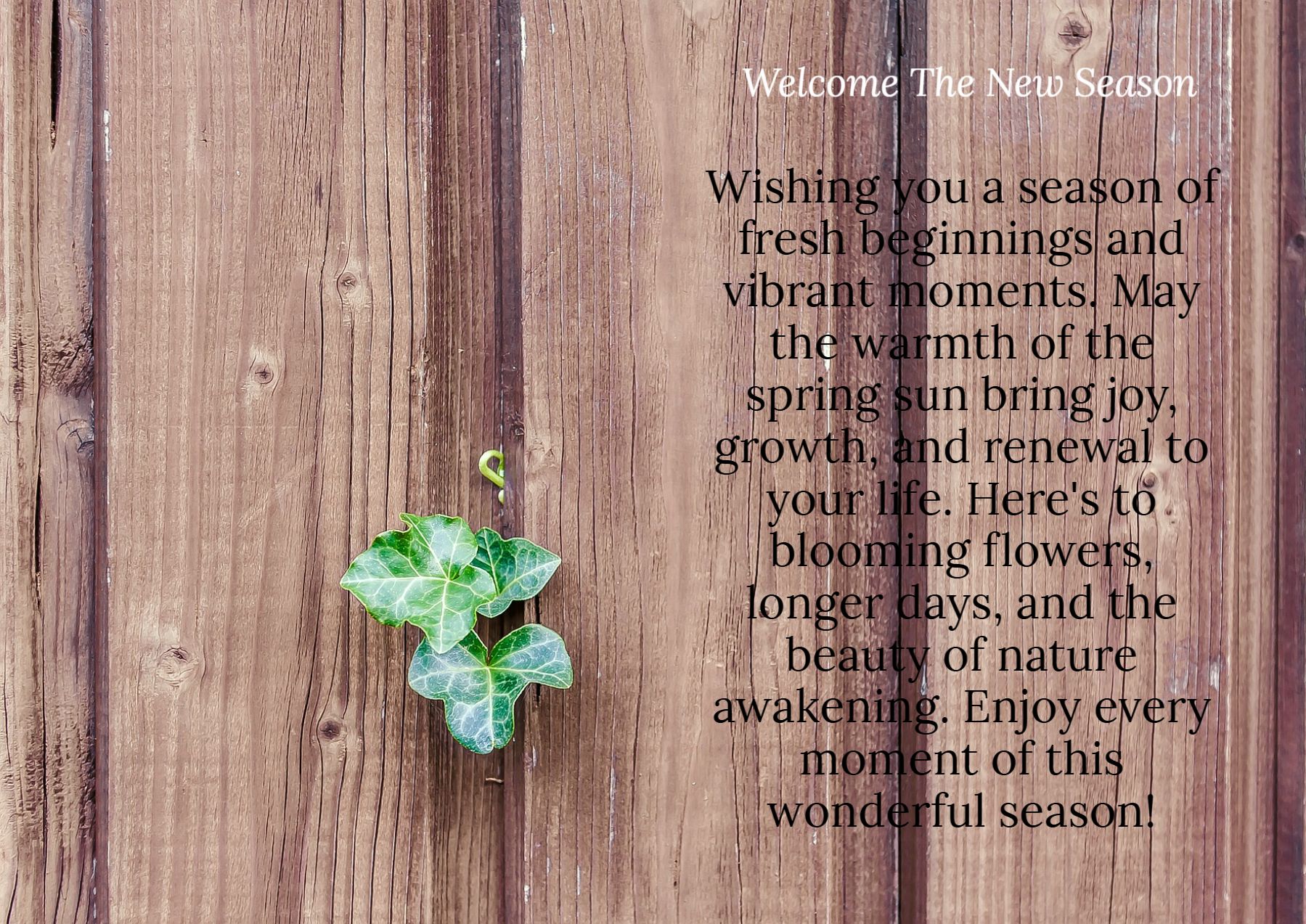 Winter Greeting Cards template preview 13