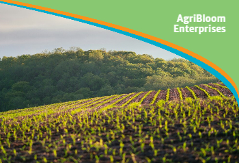 Agriculture Postcard Printing template preview 7