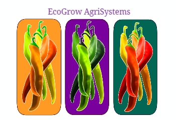 Agriculture Postcard Printing template preview 9
