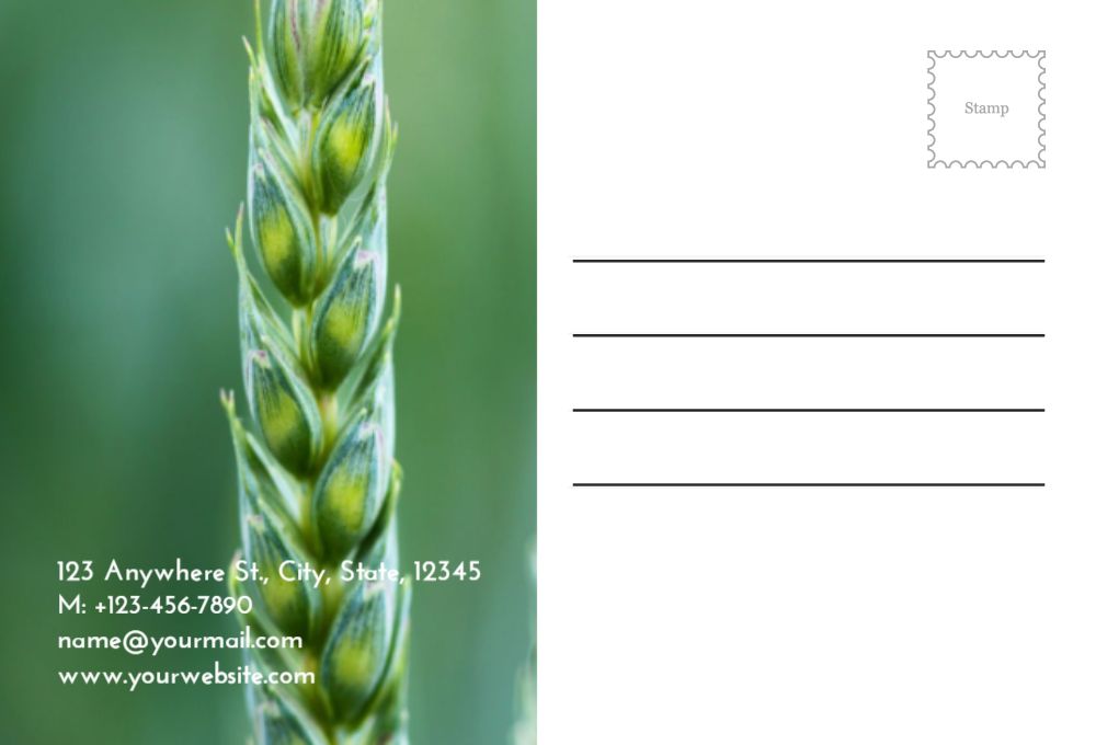 Agriculture Postcard Printing template preview 51