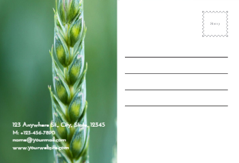 Agriculture Postcard Printing template preview 22