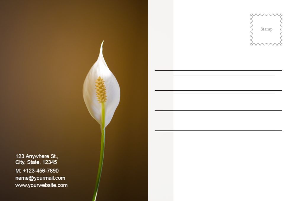 Agriculture Postcard Printing template preview 49