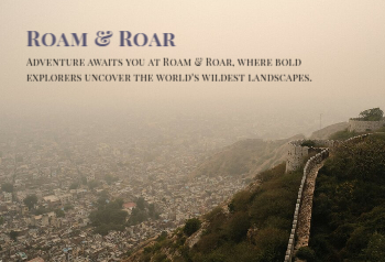 Travels Postcard Printing template preview 3