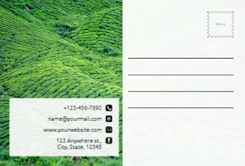 Basic Postcard Printing template preview 16