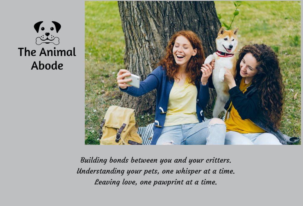 Best Friends Postcard Printing template preview 26