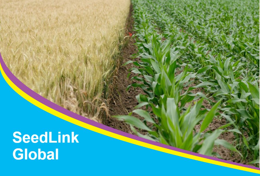 Agriculture Postcard Printing template preview 34