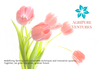 Flowers Postcard Printing template preview 19