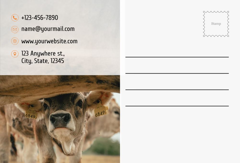 Flowers Postcard Printing template preview 37
