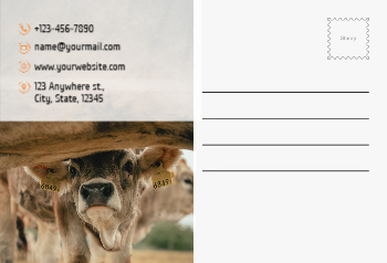 Flowers Postcard Printing template preview 8
