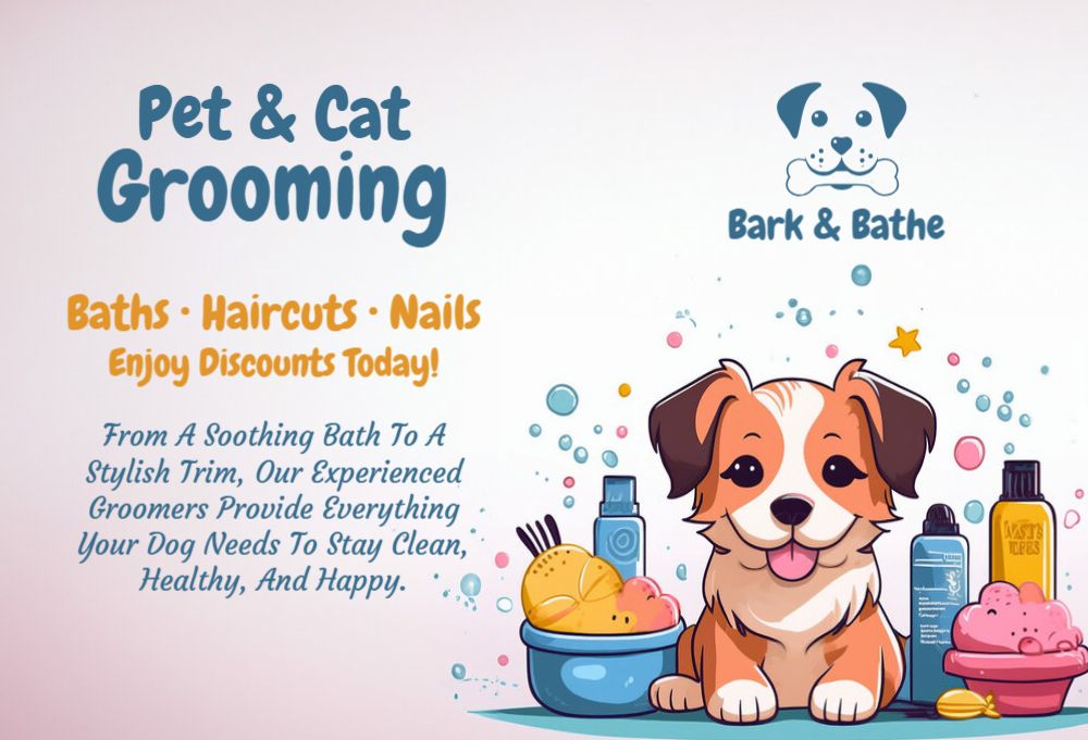 Animal Pets Rush Postcards Printing template preview 46