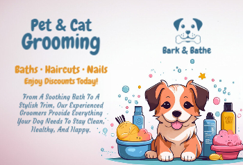 Animal Pets Rush Postcards Printing template preview 17
