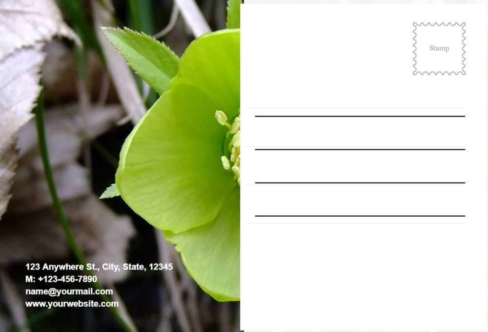 Flowers Postcard Printing template preview 55
