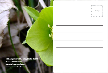Flowers Postcard Printing template preview 26