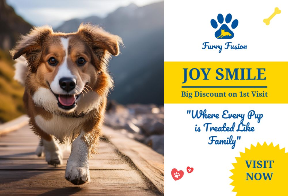 Animal Pets Rush Postcards Printing template preview 44