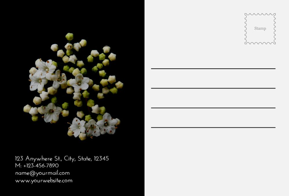 Flowers Postcard Printing template preview 53