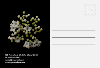 Flowers Postcard Printing template preview 24