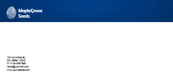 Security Cheap Custom Envelope Printing template preview 5
