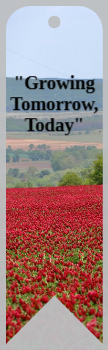 Flowers Bookmark Printing template preview 4
