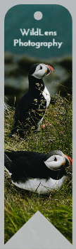 Arts And Photography Bookmark Printing template preview 4