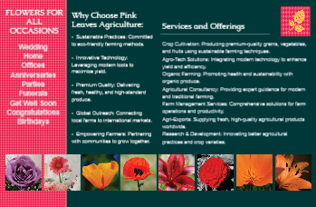 Flowers Brochure Printing template preview 2