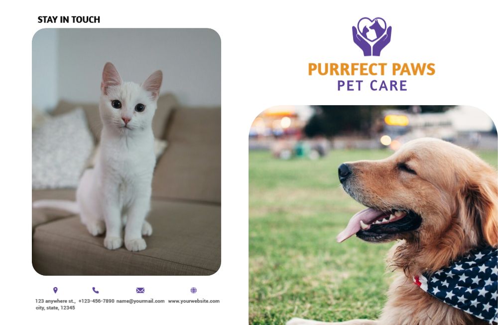 Animal Pets Brochure Printing template preview 12