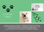 Animal Postcard EDDM